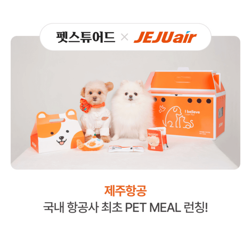 펫스튜어드 × 제주항공 — 국내 항공사 최초 PET MEAL